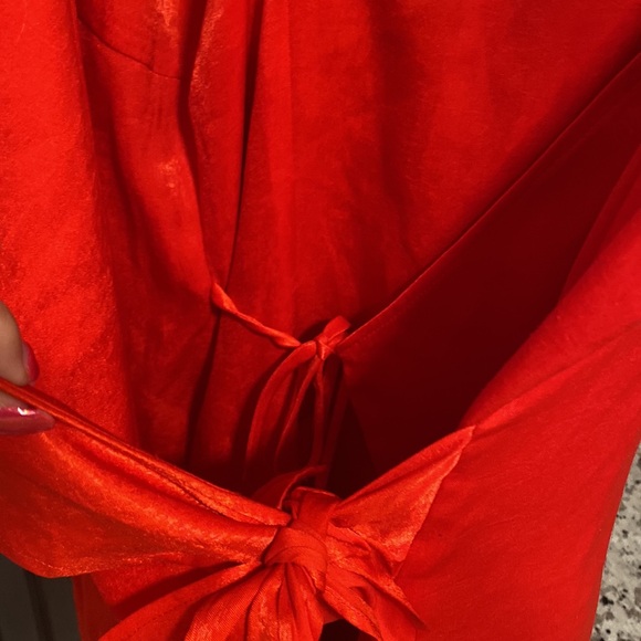 Red Dress - Picture 4 of 6